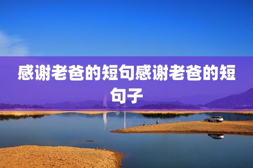 感谢老爸的短句感谢老爸的短句子