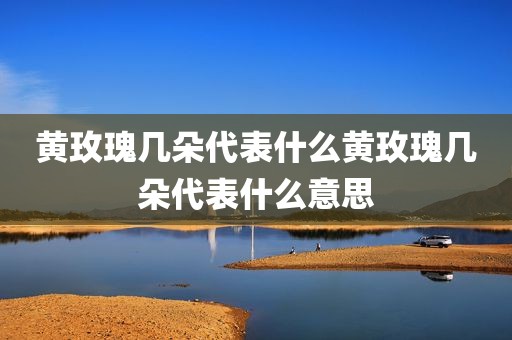 黄玫瑰几朵代表什么黄玫瑰几朵代表什么意思