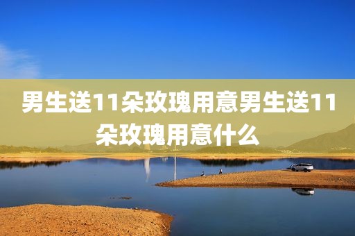 男生送11朵玫瑰用意男生送11朵玫瑰用意什么