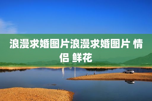 浪漫求婚图片浪漫求婚图片 情侣 鲜花