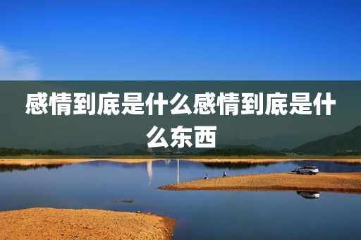 感情到底是什么感情到底是什么东西