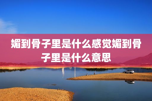 媚到骨子里是什么感觉媚到骨子里是什么意思