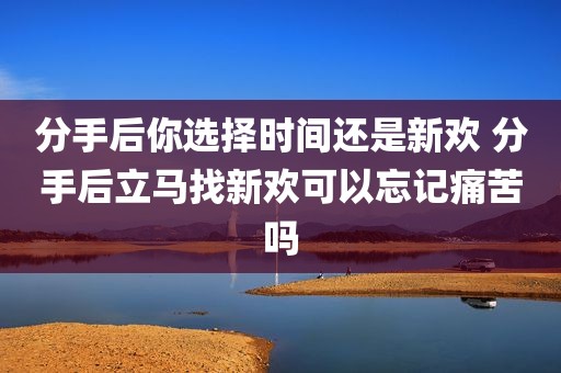 分手后你选择时间还是新欢 分手后立马找新欢可以忘记痛苦吗