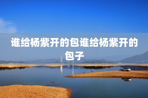 谁给杨紫开的包谁给杨紫开的包子