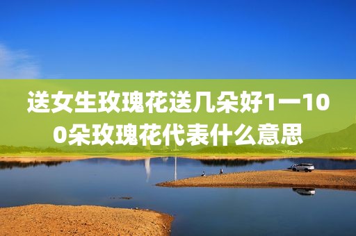 送女生玫瑰花送几朵好1一100朵玫瑰花代表什么意思