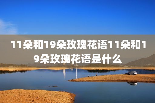 11朵和19朵玫瑰花语11朵和19朵玫瑰花语是什么