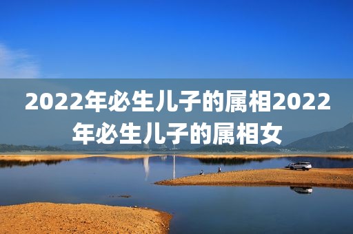 2022年必生儿子的属相2022年必生儿子的属相女