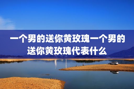 一个男的送你黄玫瑰一个男的送你黄玫瑰代表什么