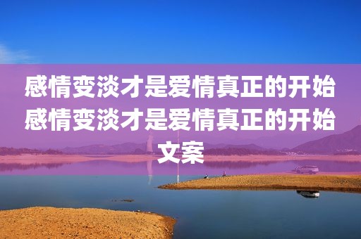感情变淡才是爱情真正的开始感情变淡才是爱情真正的开始文案
