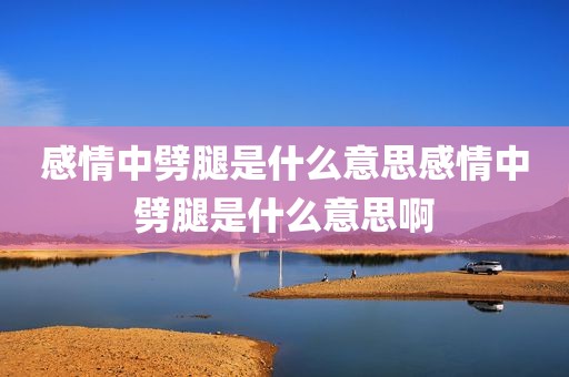 感情中劈腿是什么意思感情中劈腿是什么意思啊