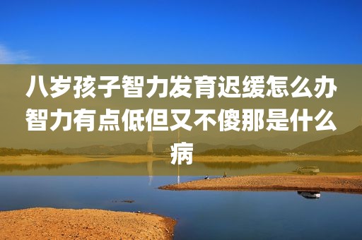 八岁孩子智力发育迟缓怎么办智力有点低但又不傻那是什么病