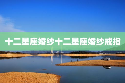 十二星座婚纱十二星座婚纱戒指