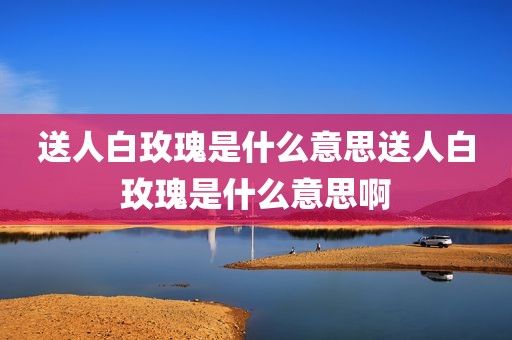送人白玫瑰是什么意思送人白玫瑰是什么意思啊