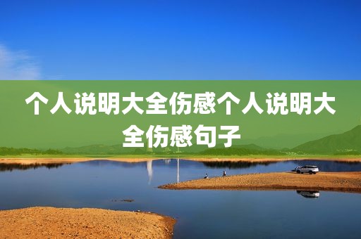 个人说明大全伤感个人说明大全伤感句子