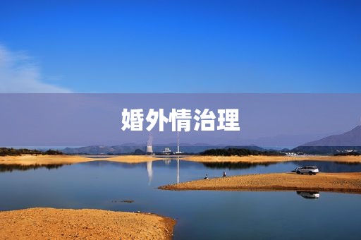 婚外情治理