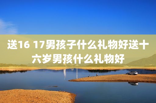 送16 17男孩子什么礼物好送十六岁男孩什么礼物好