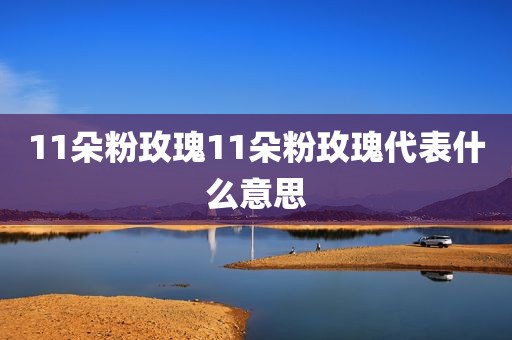 11朵粉玫瑰11朵粉玫瑰代表什么意思