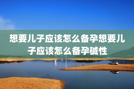 想要儿子应该怎么备孕想要儿子应该怎么备孕碱性
