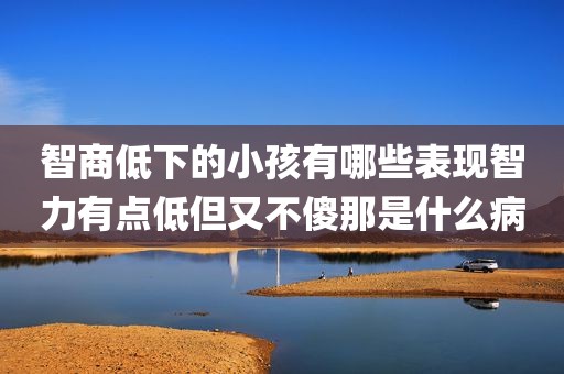 智商低下的小孩有哪些表现智力有点低但又不傻那是什么病
