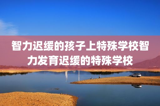 智力迟缓的孩子上特殊学校智力发育迟缓的特殊学校
