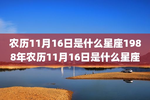 农历11月16日是什么星座1988年农历11月16日是什么星座
