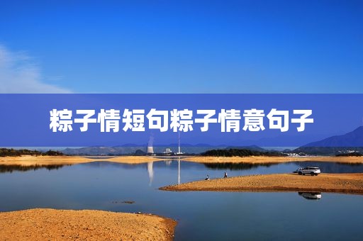粽子情短句粽子情意句子