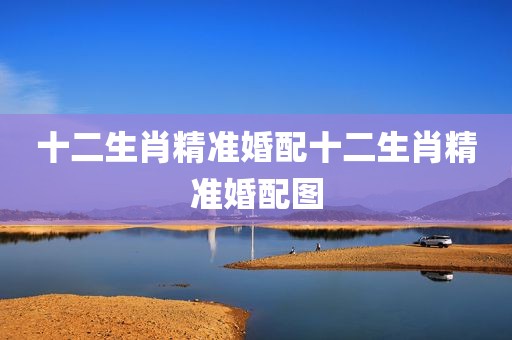 十二生肖精准婚配十二生肖精准婚配图