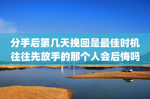 分手后第几天挽回是最佳时机往往先放手的那个人会后悔吗