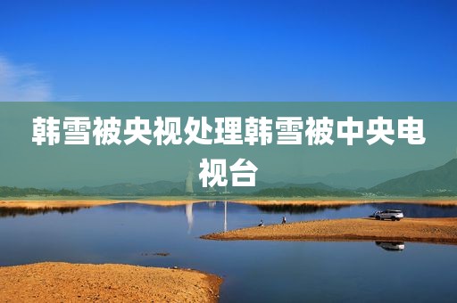 韩雪被央视处理韩雪被中央电视台