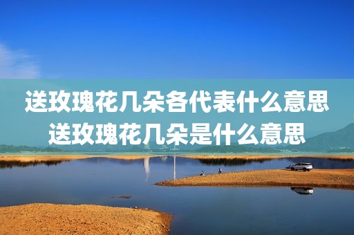 送玫瑰花几朵各代表什么意思送玫瑰花几朵是什么意思