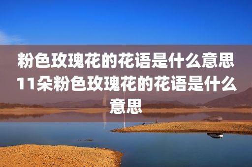 粉色玫瑰花的花语是什么意思11朵粉色玫瑰花的花语是什么意思