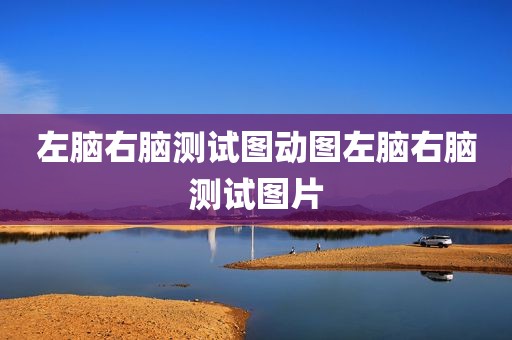 左脑右脑测试图动图左脑右脑测试图片
