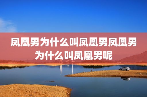 凤凰男为什么叫凤凰男凤凰男为什么叫凤凰男呢