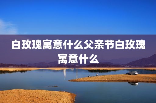 白玫瑰寓意什么父亲节白玫瑰寓意什么