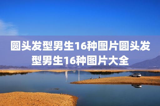 圆头发型男生16种图片圆头发型男生16种图片大全