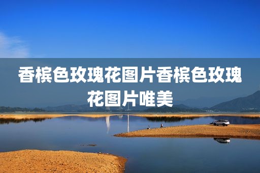 香槟色玫瑰花图片香槟色玫瑰花图片唯美