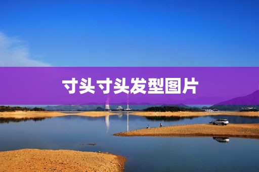 寸头寸头发型图片