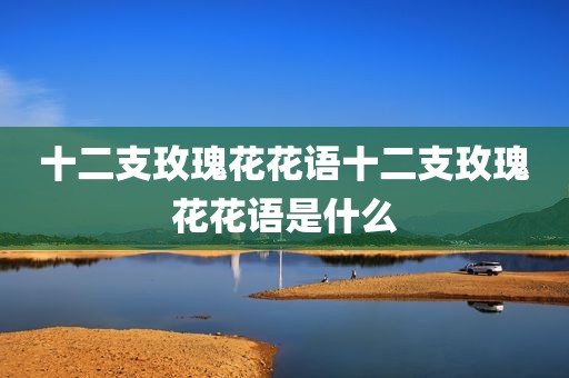 十二支玫瑰花花语十二支玫瑰花花语是什么