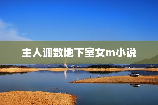主人调数地下室女m小说