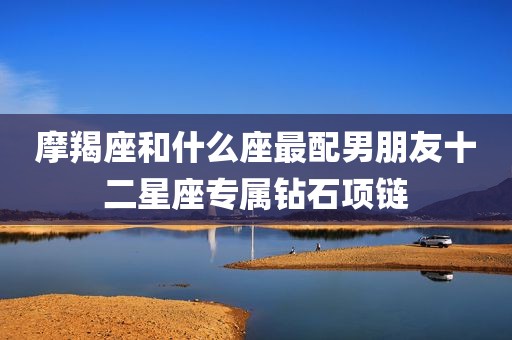 摩羯座和什么座最配男朋友十二星座专属钻石项链
