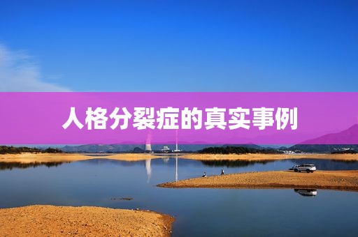 人格分裂症的真实事例