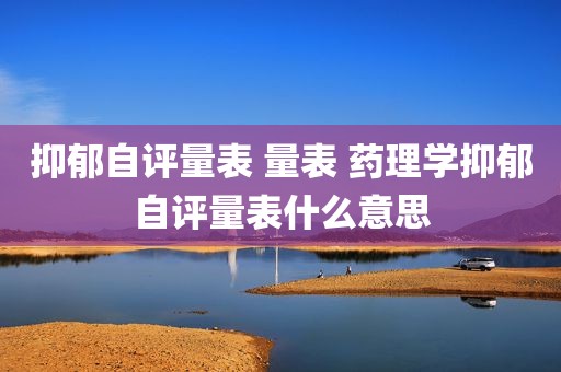 抑郁自评量表 量表 药理学抑郁自评量表什么意思