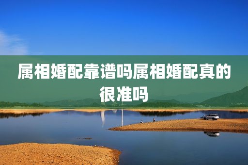 属相婚配靠谱吗属相婚配真的很准吗