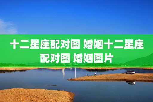 十二星座配对图 婚姻十二星座配对图 婚姻图片