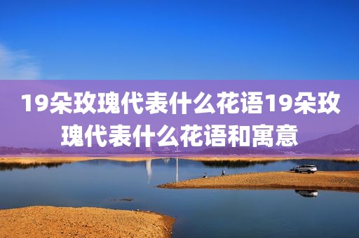 19朵玫瑰代表什么花语19朵玫瑰代表什么花语和寓意