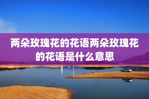 两朵玫瑰花的花语两朵玫瑰花的花语是什么意思