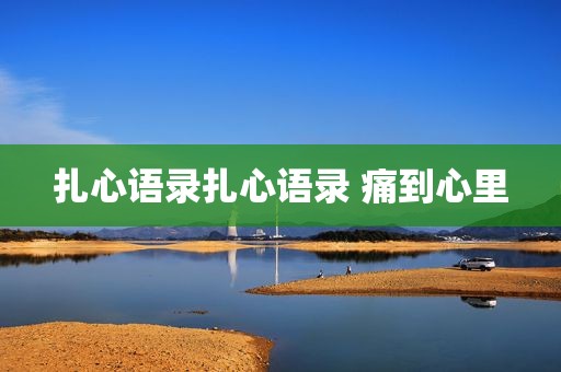 扎心语录扎心语录 痛到心里