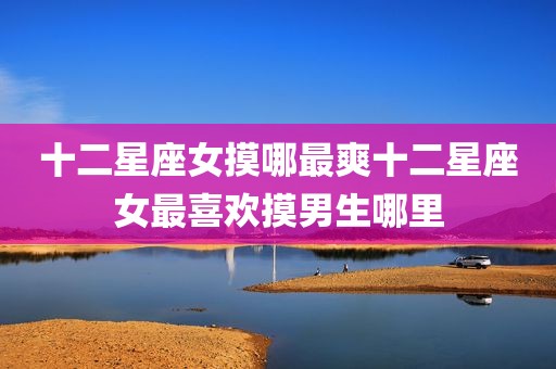 十二星座女摸哪最爽十二星座女最喜欢摸男生哪里