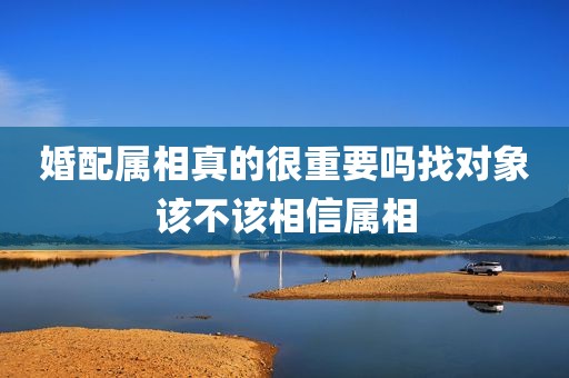 婚配属相真的很重要吗找对象该不该相信属相