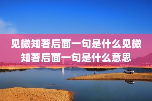 见微知著后面一句是什么见微知著后面一句是什么意思
